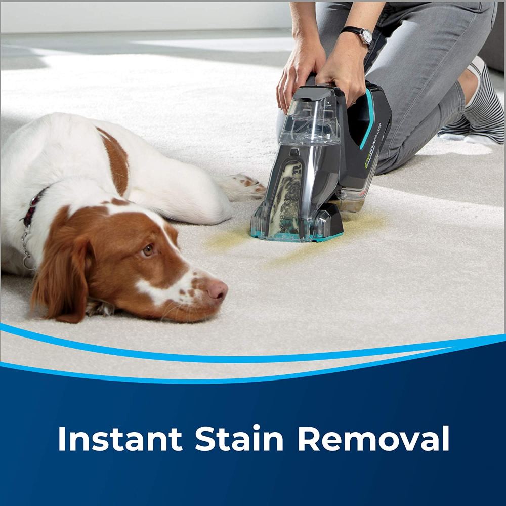 Pet Stain Cleaner: image 3